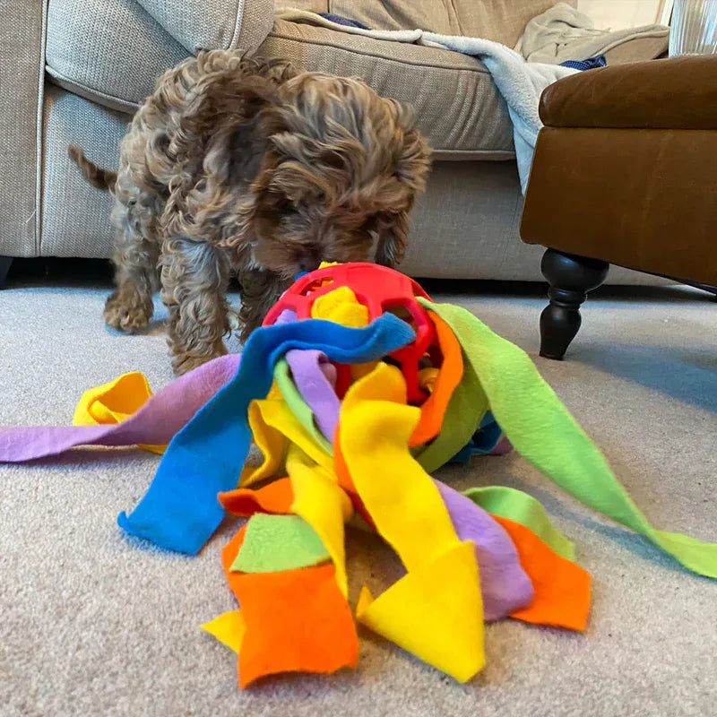 GentlePaw™ Snuffelbal | Mentale Stimulatie & Snoepjesspel