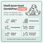 GentlePaw Calm™ | Diffuser Plug In