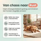 GentlePaw Calm™ | Diffuser Plug In