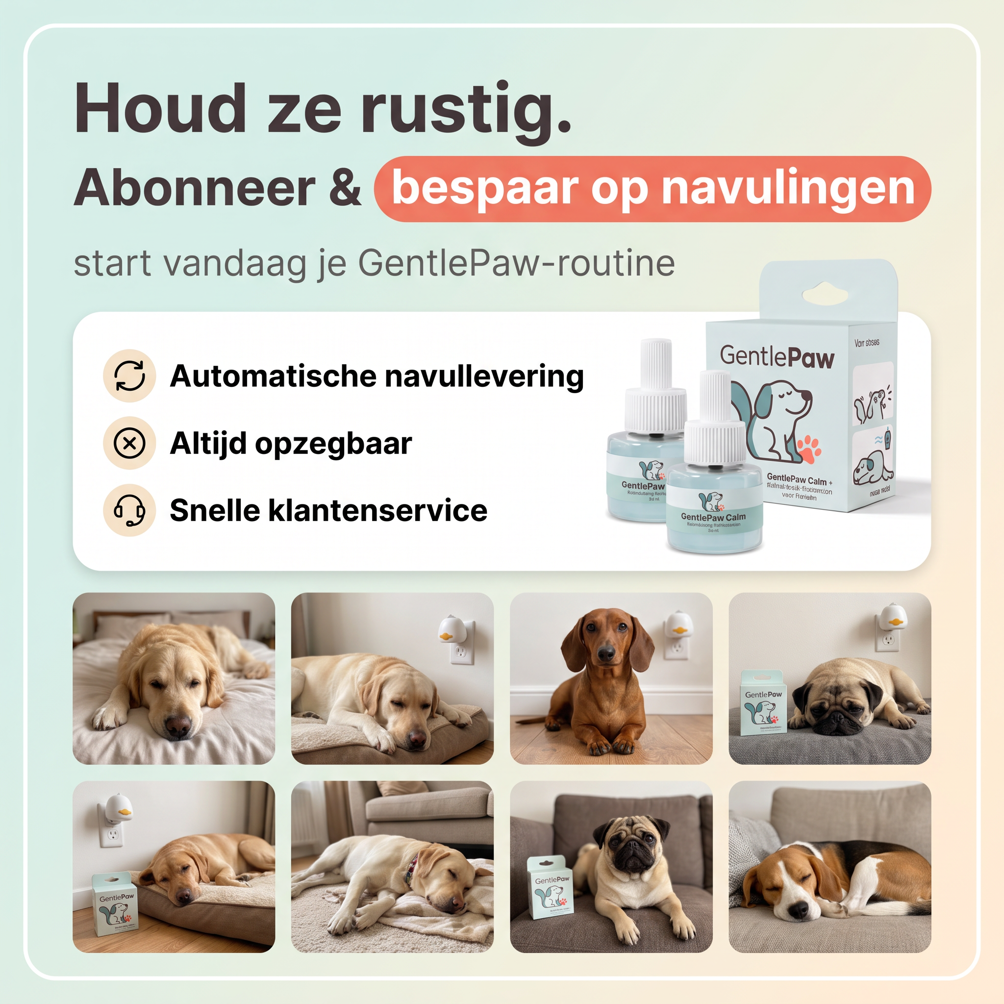 GentlePaw Calm™ | Diffuser Plug In